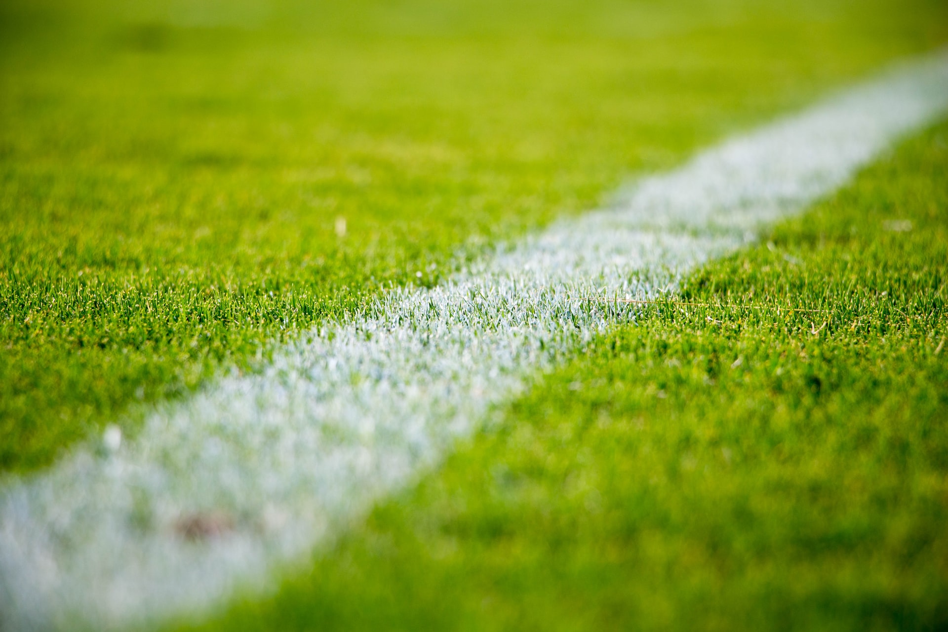 Césped de una cancha de fútbol